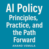 AI Policy Principles, Practice, and the Path Forward