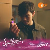 Episode 9: Flugangst: Das Original-Hörspiel zur TV-Serie