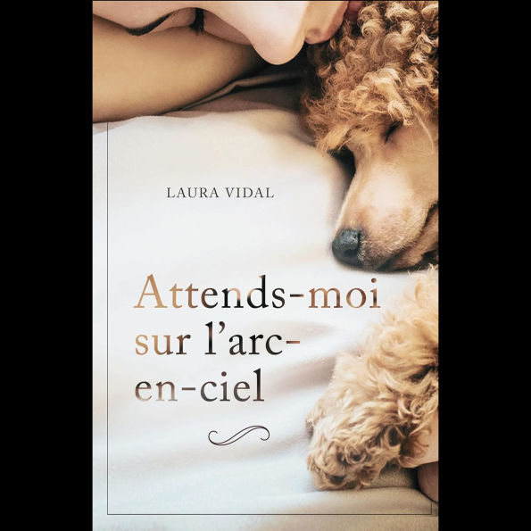 Attends-moi sur l'arc-en-ciel: Comment gérer la perte de votre animal de compagnie