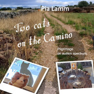 Two Cats on the Camino: Pilgrimage on autism-spectrum