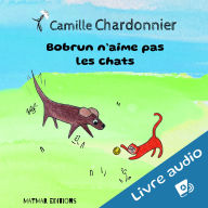 Bobrun n'aime pas les chats