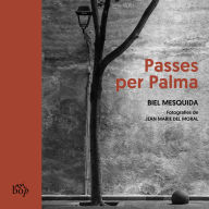 Passes per Palma