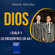 Dios Ojala y lo encuentres en AA: Temas Espirituales