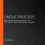 Undue Process: What Really Happened Inside the First 100 Days of Trump's Deportation Program