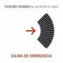 Salida de Emergencia