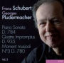 Franz Schubert, Vol. 3: Piano Sonata D.784; Quatre Impromptus D.935; Moment Musical No. 3 D.780