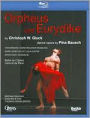Orpheus und Eurydike (Ballet de l'Opera National de Paris)