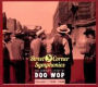 Street Corner Symphonies: The Complete Story of Doo Wop, Vol. 1 (1939-1949)