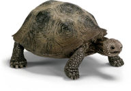 Title: Giant tortoise