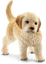 Golden Retriever puppy
