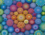 Alternative view 2 of Radiating Rainbow Mandalas 2000 piece puzzle