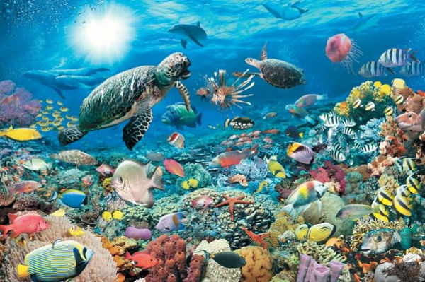 Beneath the sea 5000 Piece Puzzle