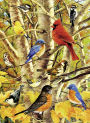 Autumn Birds 500 pc puzzle