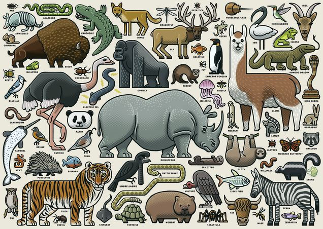Wild Animals 1000 Piece Jigsaw Puzzle by Ravensburger | Barnes & Noble®
