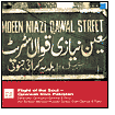 Flight of the Soul: Qawwali Music from Pakistan