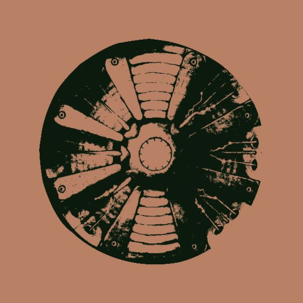 Tryshasia