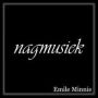 Nagmusiek