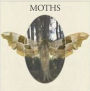 Moths