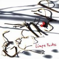 Title: Gestr¿¿pp [Brushwood], Artist: Limpe Fuchs