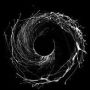 Dysnomia