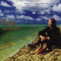 Beggar on a Beach of Gold