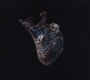 Guardians of the Heart Machine