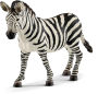 Zebra, female