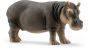 Hippopotamus