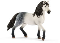 Alternative view 1 of Andalusian Stallion