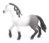 Alternative view 2 of Andalusian Stallion