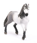 Alternative view 3 of Andalusian Stallion