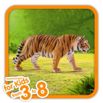 Alternative view 5 of Schleich Wild Life Tiger