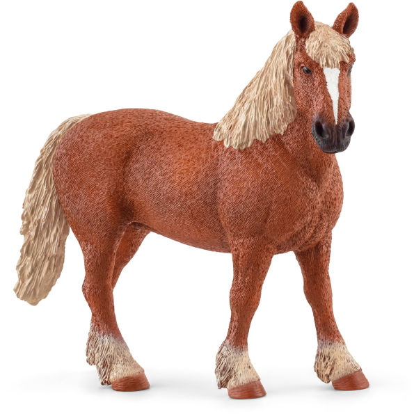 Belgian Broodmare Horse