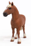 Alternative view 2 of Belgian Broodmare Horse