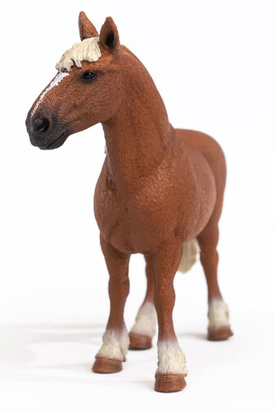 Belgian Broodmare Horse