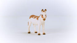 Alternative view 4 of American Spotted Donkey
