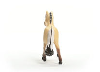 Alternative view 4 of norwegian fjord horse mare