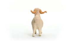 Alternative view 2 of Angora Goat