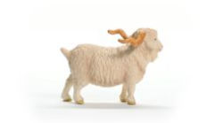 Alternative view 3 of Angora Goat