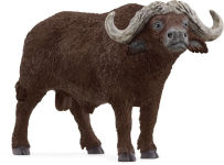 Alternative view 2 of African Buffalo