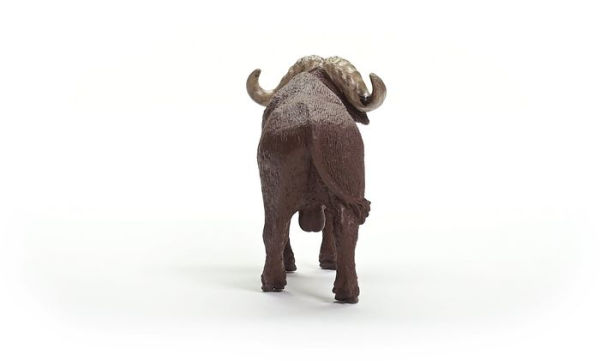 African Buffalo