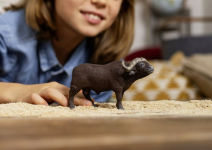 Alternative view 5 of African Buffalo