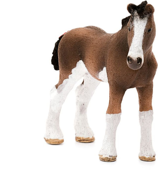 Clydesdale foal