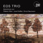 Streichtrios von Gideon Klein, Józef Koffler, Ernst Naumann