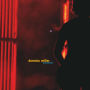 November (Dominic Miller)