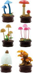 Alternative view 1 of Mushroom Blind Box Assortment