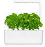Smart Garden 3, White