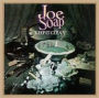 Keep It Clean (as Joe Soap)