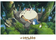 Title: Napping with Totoro 