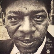 Title: Hate to See You Go [Bonus Track] [Remastered], Artist: Little Walter